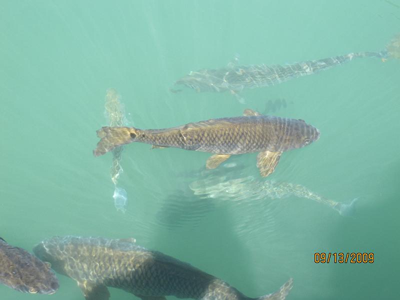 Picture 048